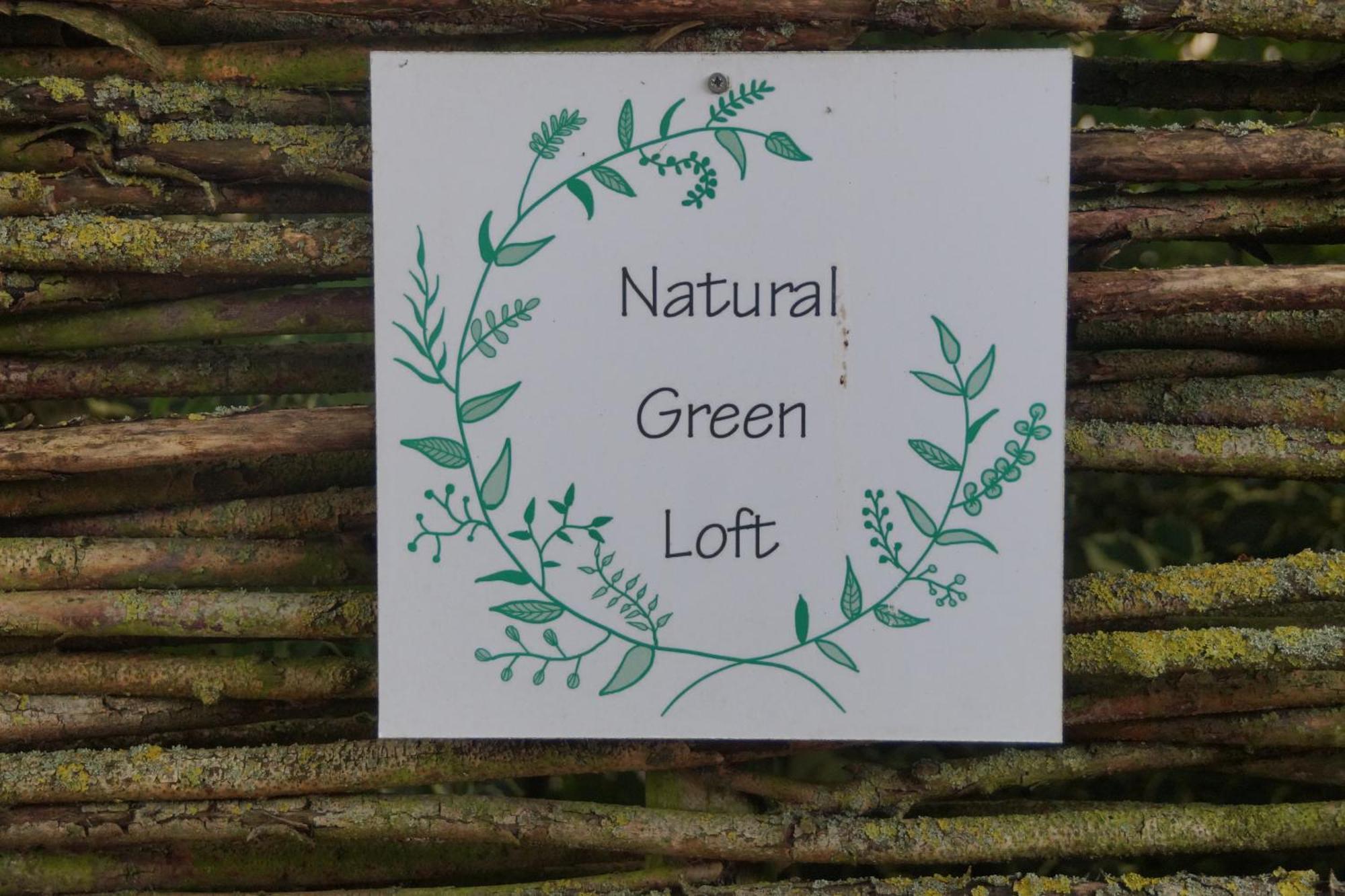 Natural Green Loft Bergen Exteriör bild